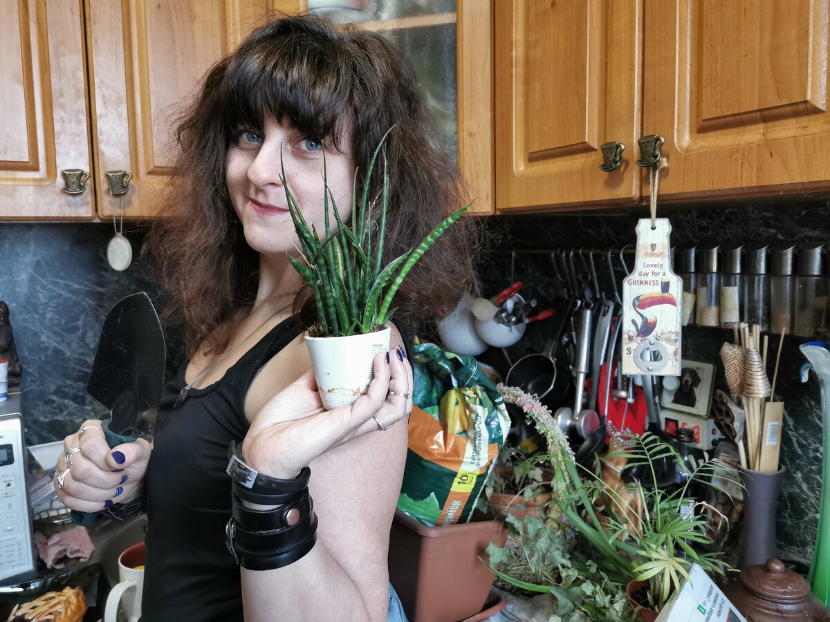 Кстати, пересадила кучу растений:)