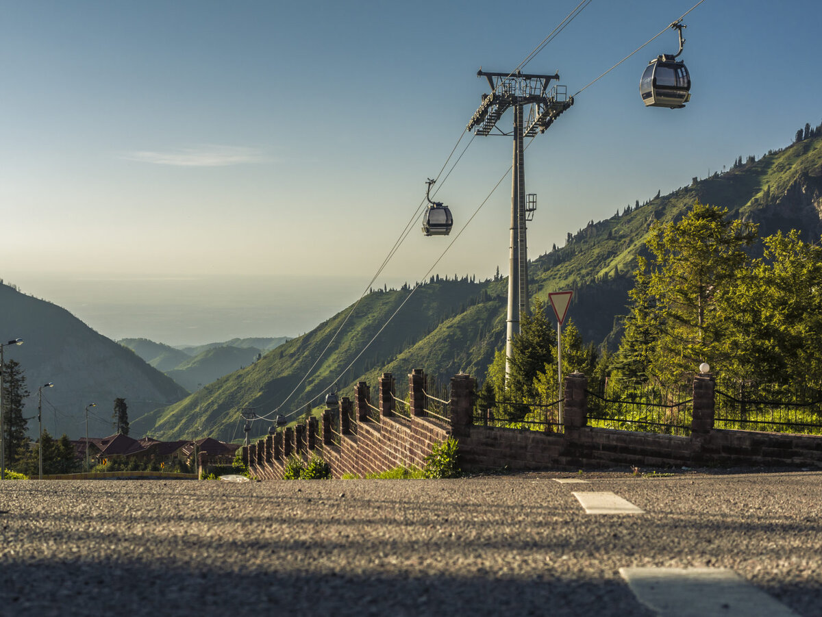 Источник Яндекс Картинки