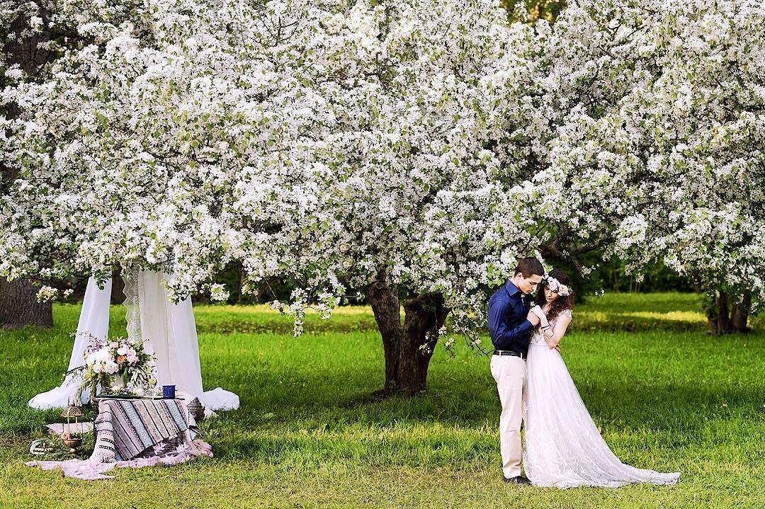 Яндекс-фото