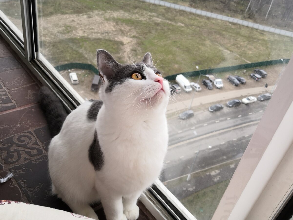 Иди ко мне, моя жужжалочка