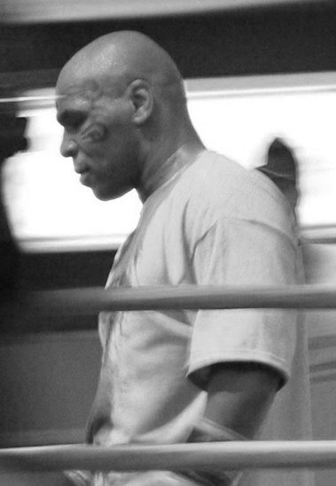 https://upload.wikimedia.org/wikipedia/commons/0/07/Mike_Tyson.jpg