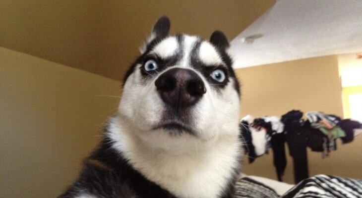 Фотоматериал: infoport.live rambler.ru daokedao.ru xoxo.ru