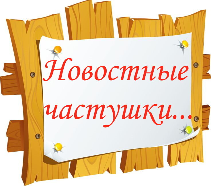 авторское фото