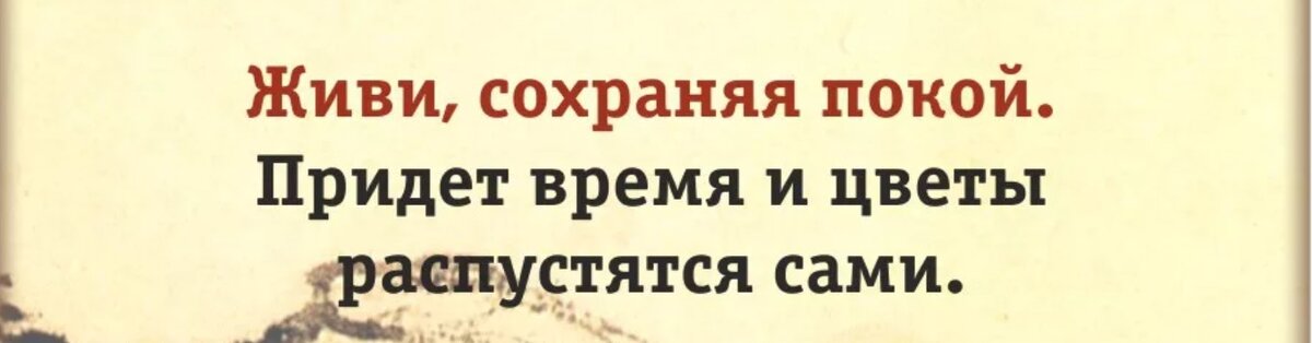 Высказывания про опыт. Единственная настоящая ошибка не исправлять своих прошлых. Ошибки мотиватор. Ошибки это знаки препинания жизни. Единственная настоящая ошибка не исправлять своих прошлых ошибок.