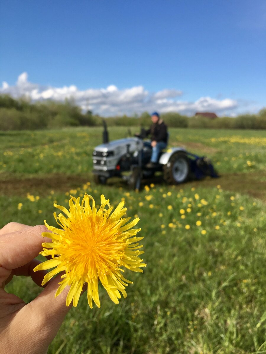 немного креатива))) ведь я все таки фотограф))