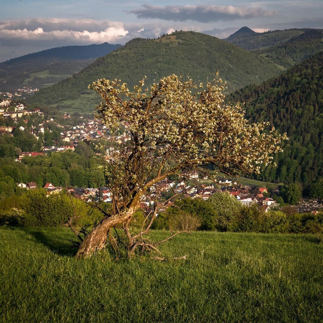 Пенины. Польша.