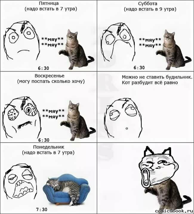 Жиза, не так ли?