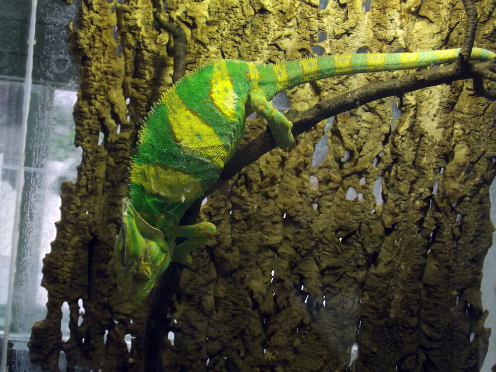 Фото из личного архива