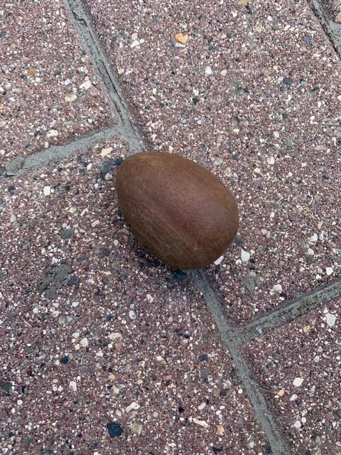 Любимая игрушка