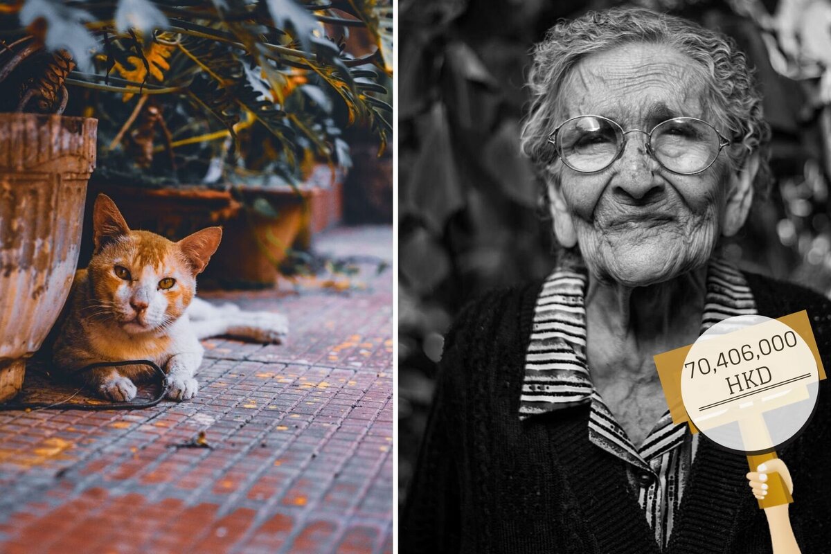 Источник: Sourav Mishra, CC, piqsels