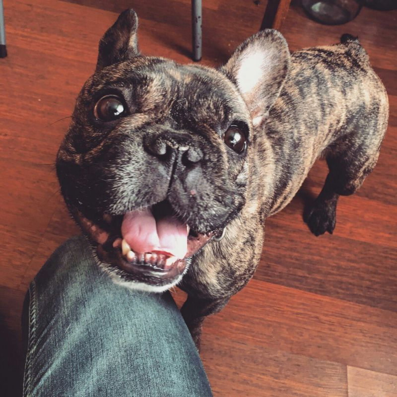 Фото: pinterest.ru 