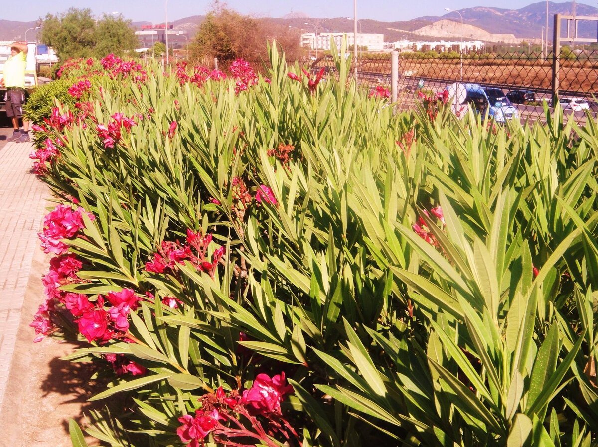 Фото взято с нашего сайта: https://in-search-of-travel.ru