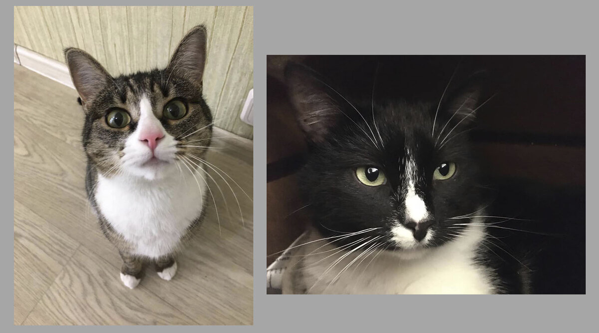 Они встретились во временном доме и уехали вместе в дом постоянный