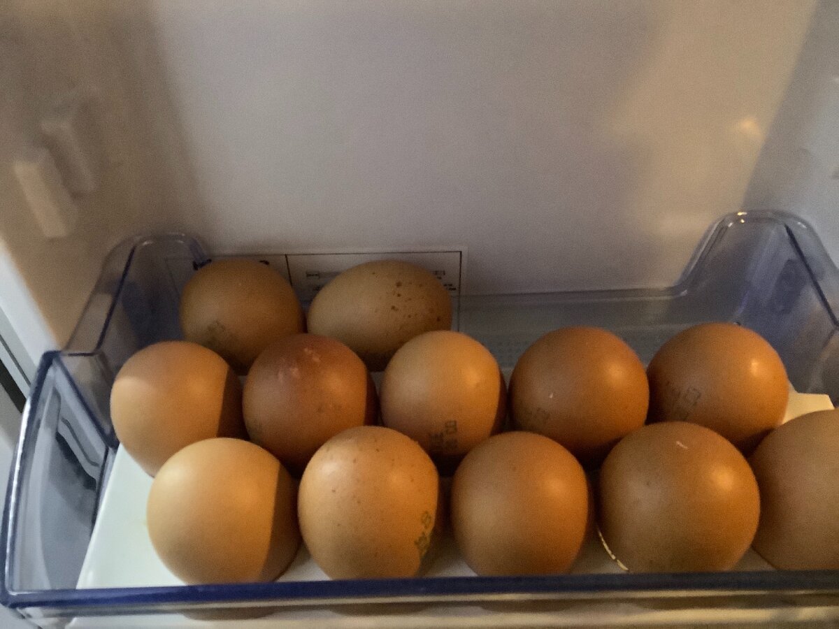 Как сохранить яйца долго