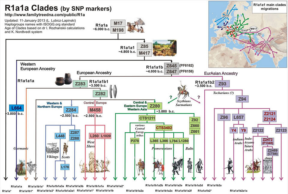Familytreedna. Дерево гаплогруппы r1a. Гаплогруппа r1a Древо. Расселение гаплогруппы r1a1. Гаплогруппа r1a субклады.