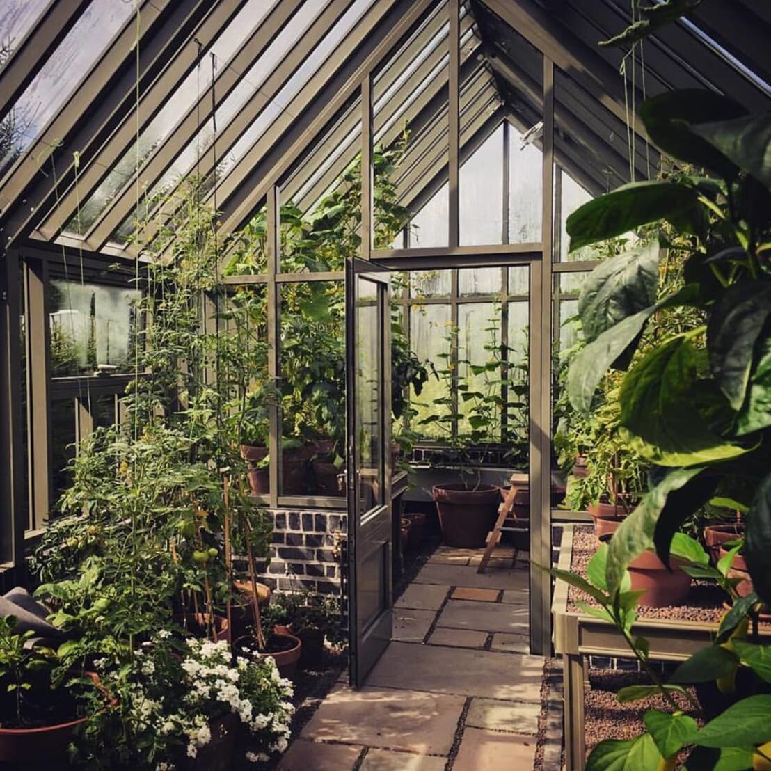 Фото взято из открытых источников