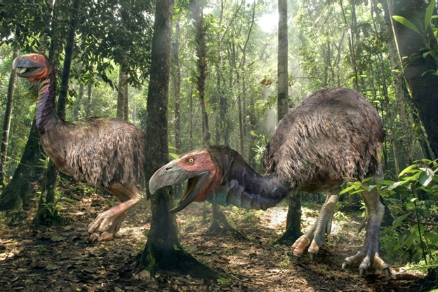 Фото:yandex.ru/images/