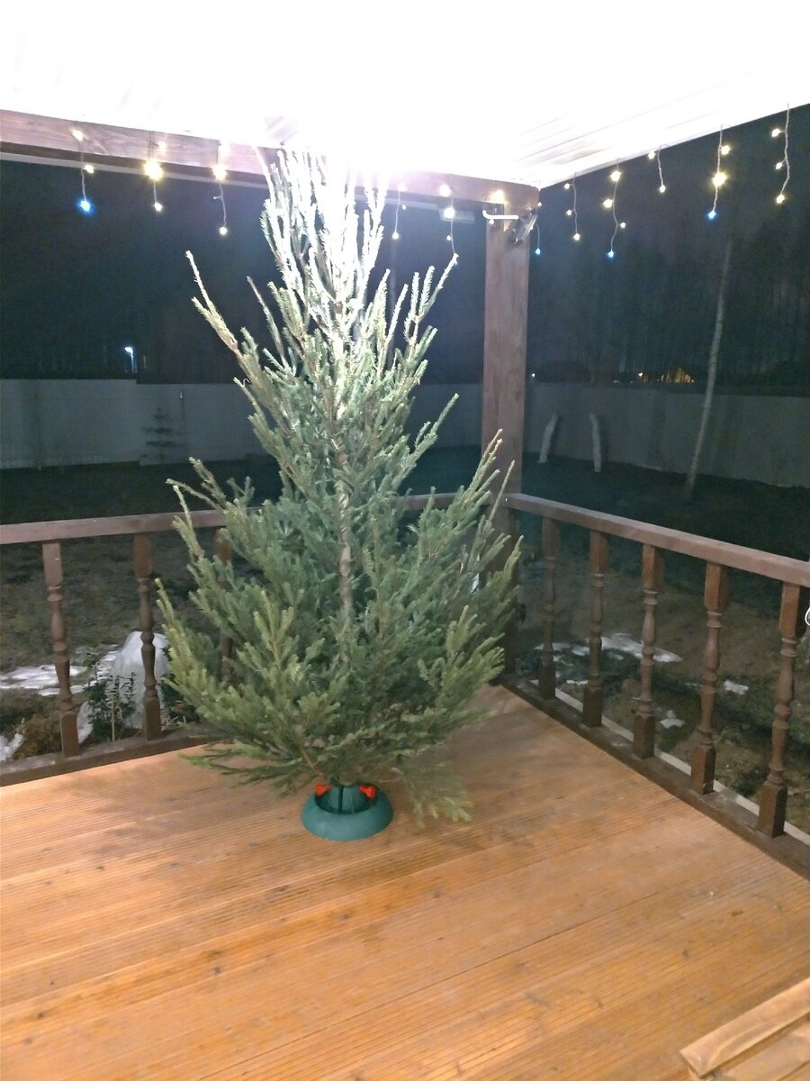 Декабрь 2019.