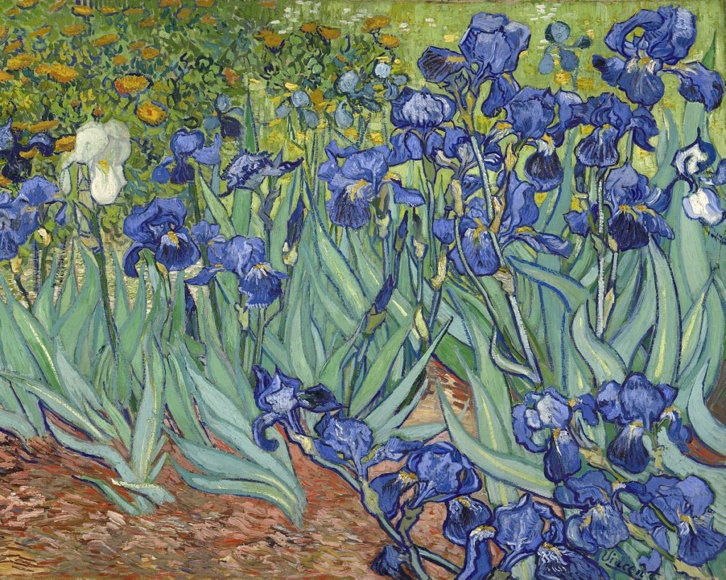 Ирисы.1890