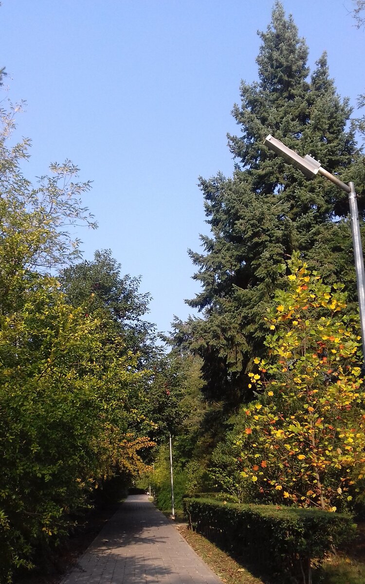 Мы жили в лесу в Сочи