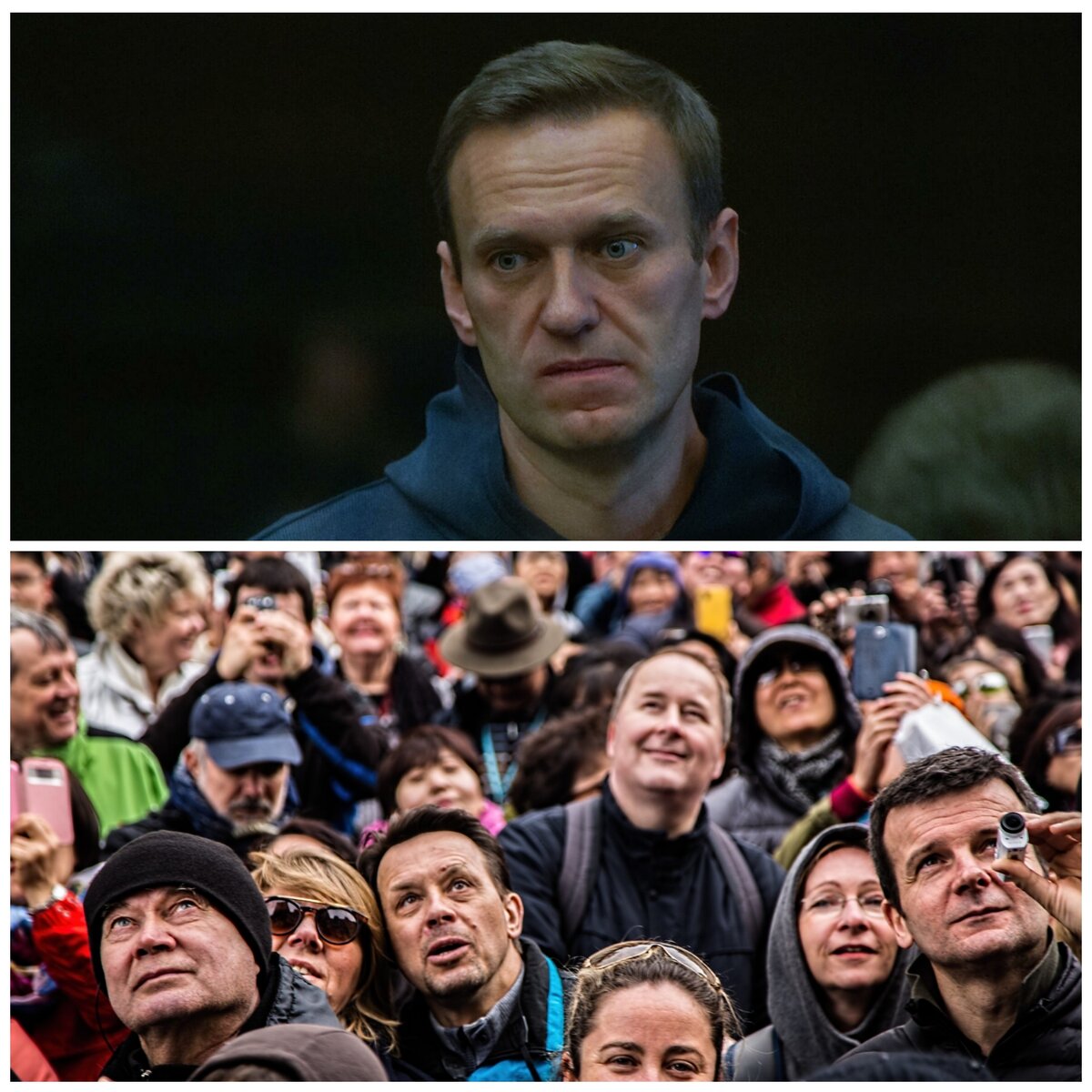 А наша ли ты птица Алексей?