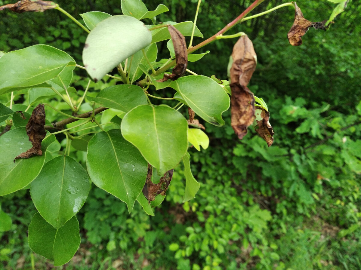 Часть тебя начинает отмирать...