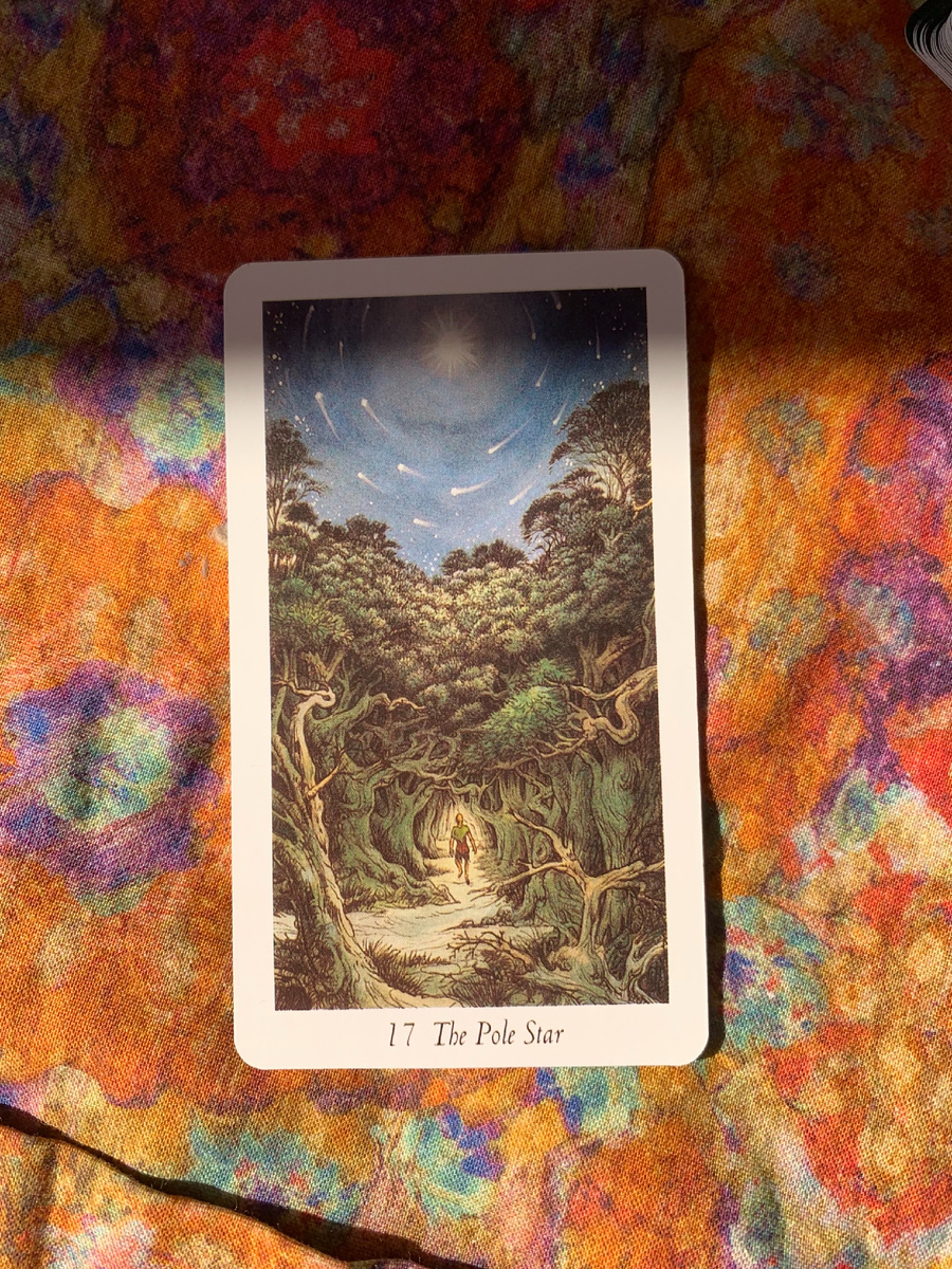 Фото из личной коллекции автора 