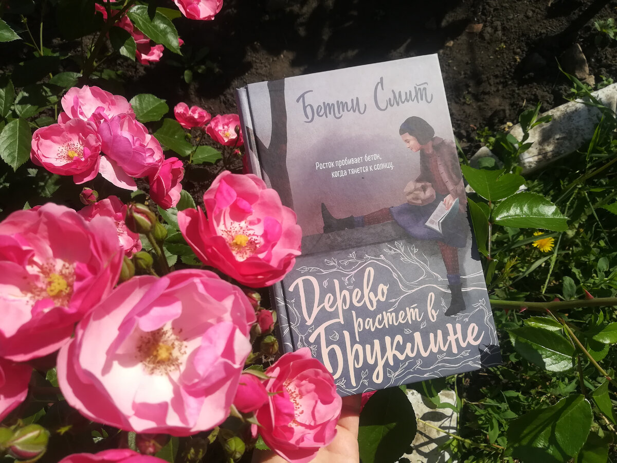 Обложка нарисована отлично!