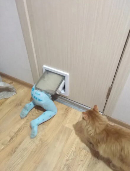 Дверца отлично подошла не только коту) Фото взято из отзывов на ozon.