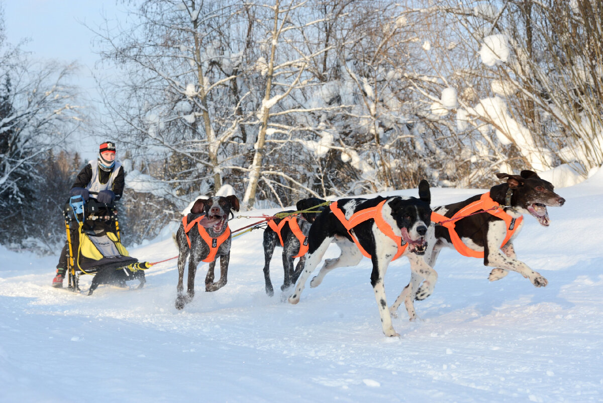 Фотография от фотографа гонки Герасимовой Анны
