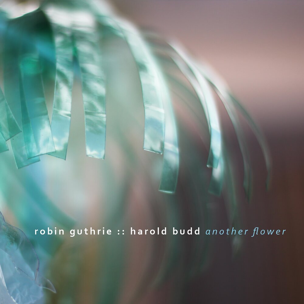 Harold Budd, Robin Guthrie «Another Flower» (p) 2020