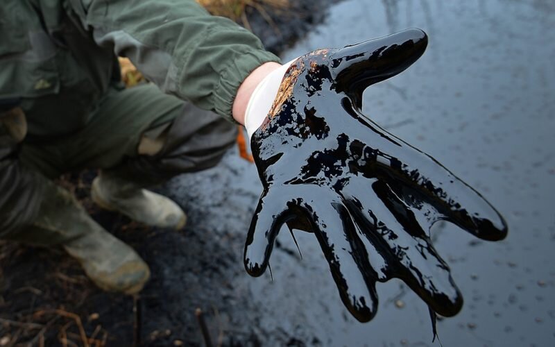 фото: из интернет-ресурса