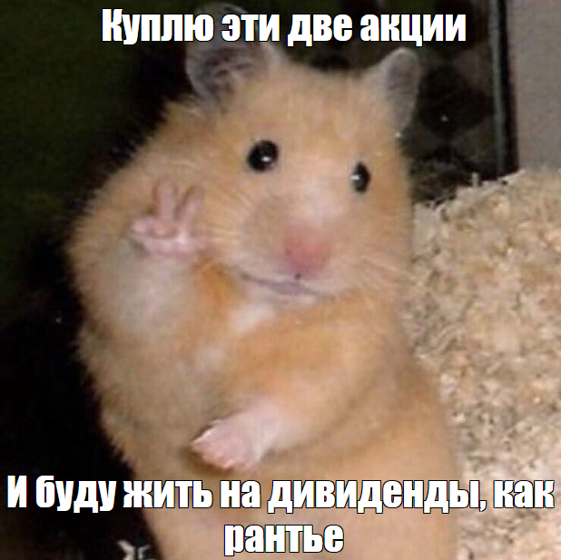 Хомячки на мамбе, йоу