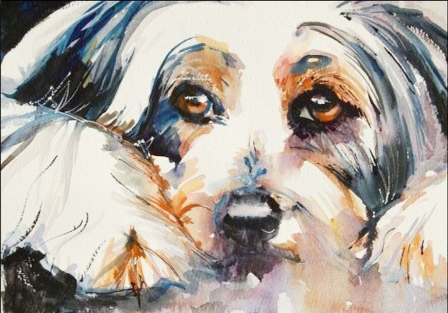 Ставьте лайк и подписывайтесь на мой канал;) фото из открытых источников