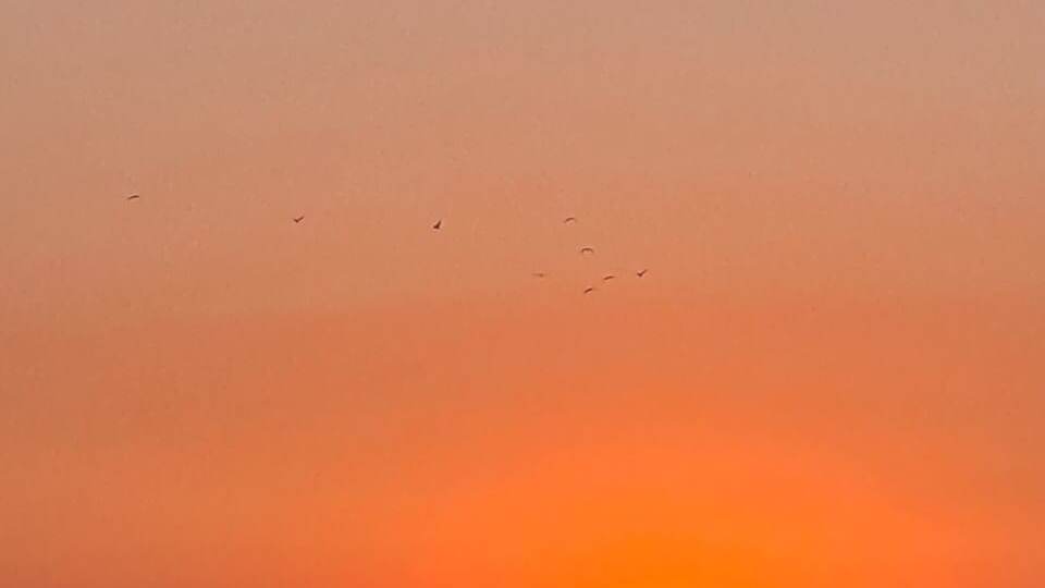 Вожатские будни - 3