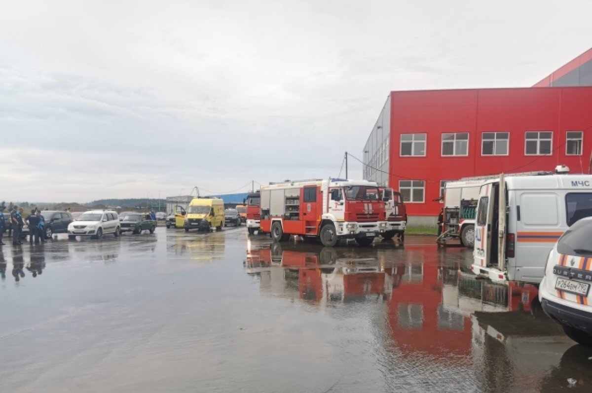    При пожаре на складе Ozon в Подмосковье пострадали два человека