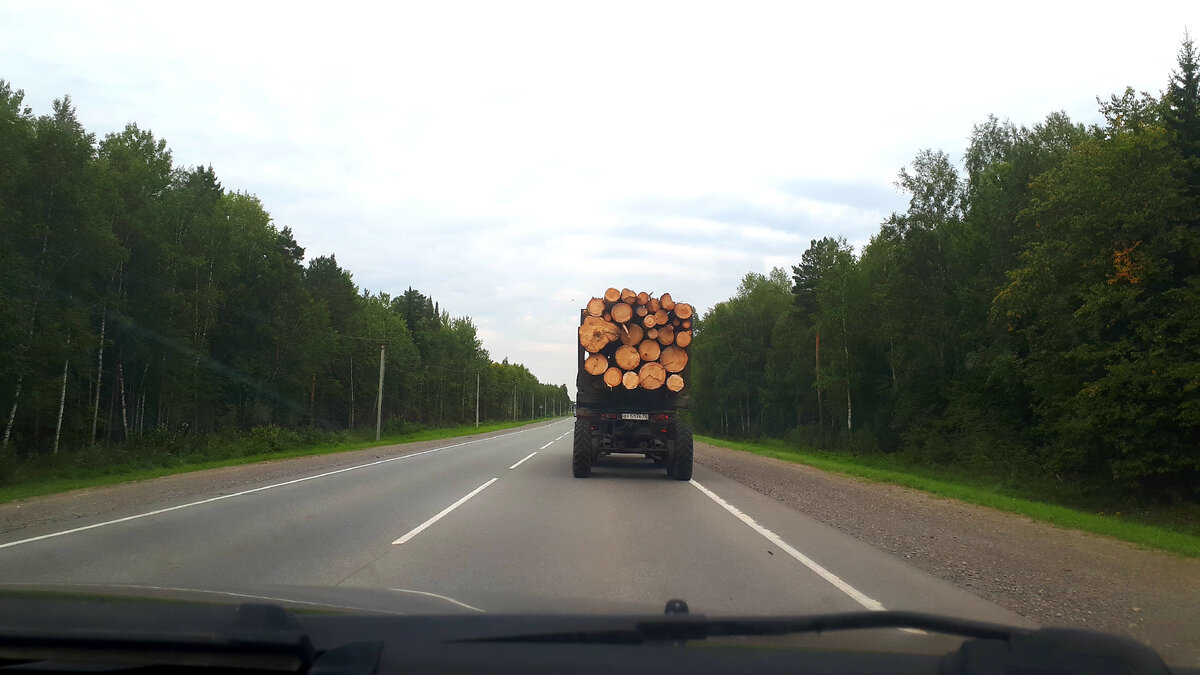 Такого вы в магазине не купите! Чем народ торгует прямо на дорогах, увидела  своими глазами. | Белкины новости из Крыма | Дзен