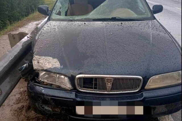    Автомобиль насмерть сбил велосипедиста. Фото: ОГИБДД МВД России по Березниковскому городскому округу