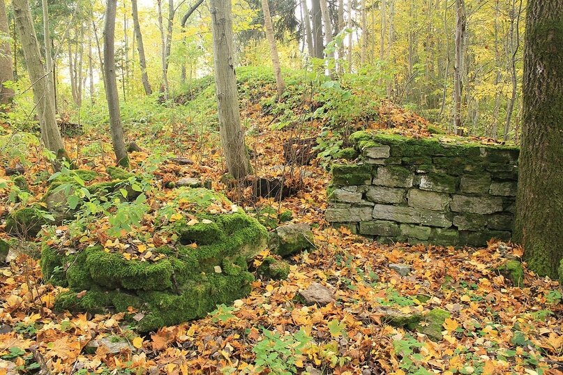 Автор: https://vk.com/away.php?to=https%3A%2F%2Fcommons.wikimedia.org%2Fw%2Findex.php%3Ftitle%3DUser%3APeterv240%26action%3Dedit%26redlink%3D1&cc_key=