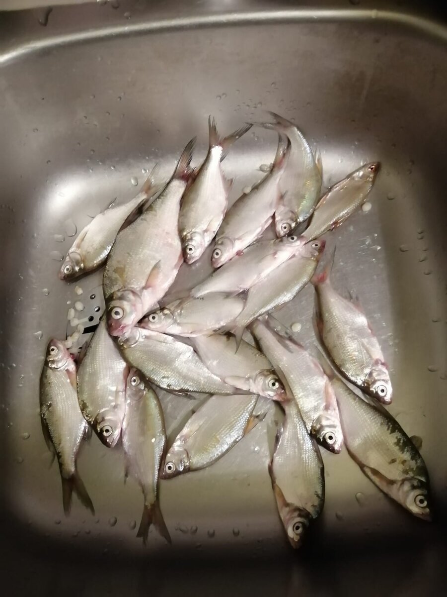 рыбка для жарки