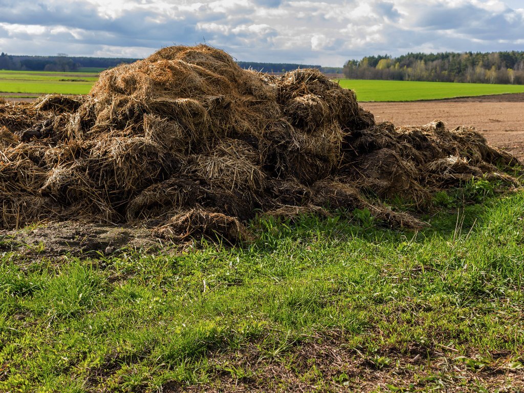 Фото: news.milkbranch.ru