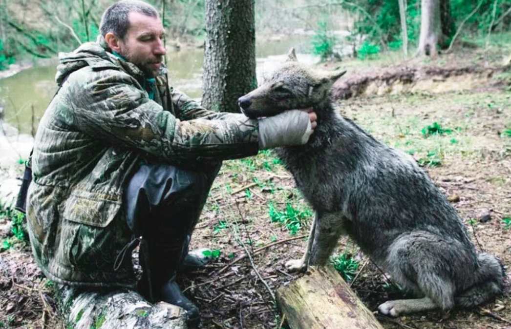 Андрей сидел на лавке на остановке и ждал свой автобус, который должен был отвезти его в деревню, где прошло детство. Он думал о том, как ему жить дальше.-5