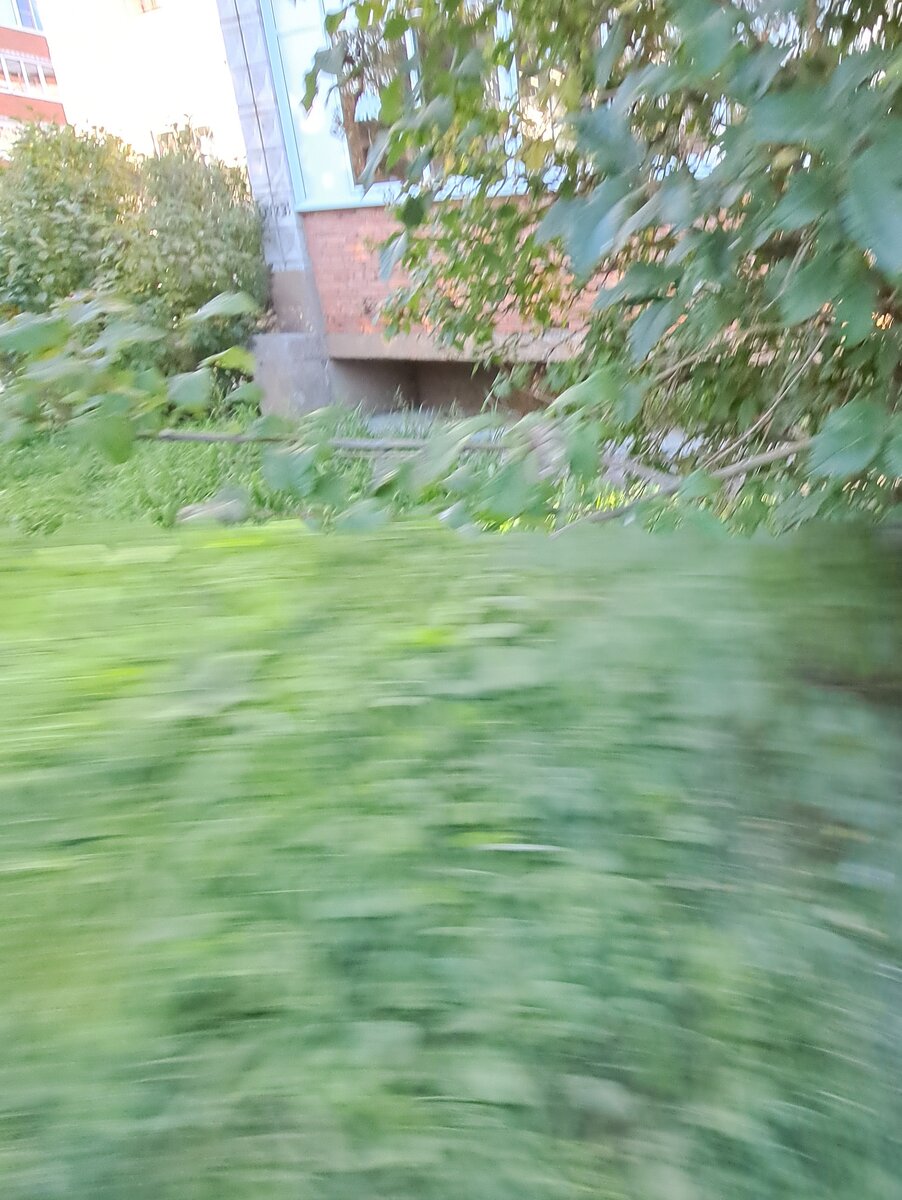 Это бегу на Почту России получать мою посылку, которая обогнула земной шар и вернулась домой