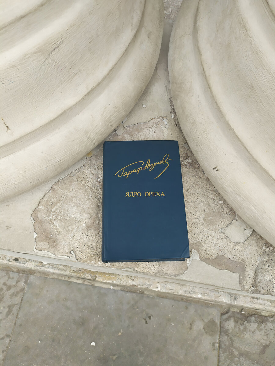 Книга на ботном домике