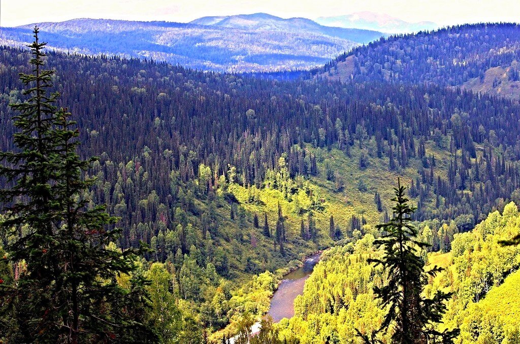 Западная сибирь фото
