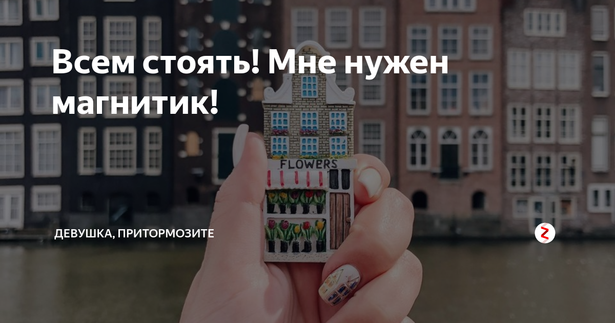 Всем стоять! Мне нужен магнитик! | Девушка, притормозите | Дзен