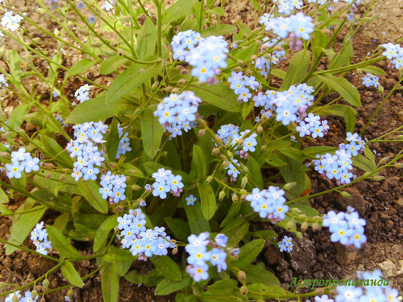 Фото Нины Стрелковой. 