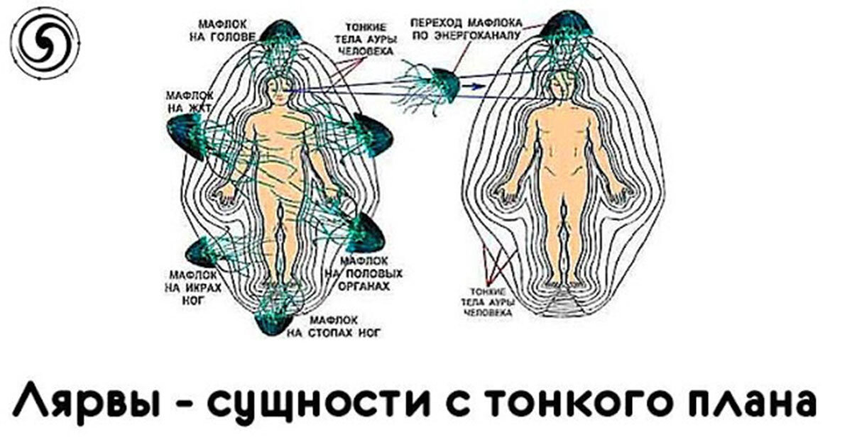 Лярва фото сущности