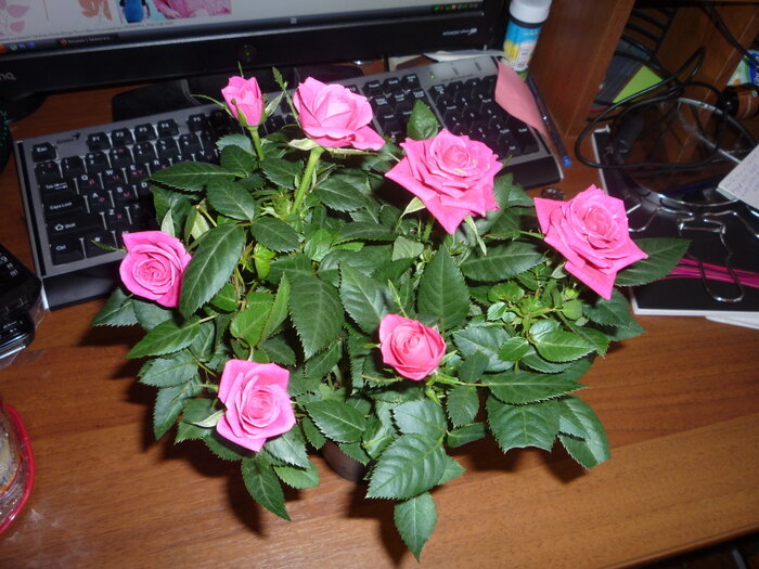 Фото: liveinternet.ru