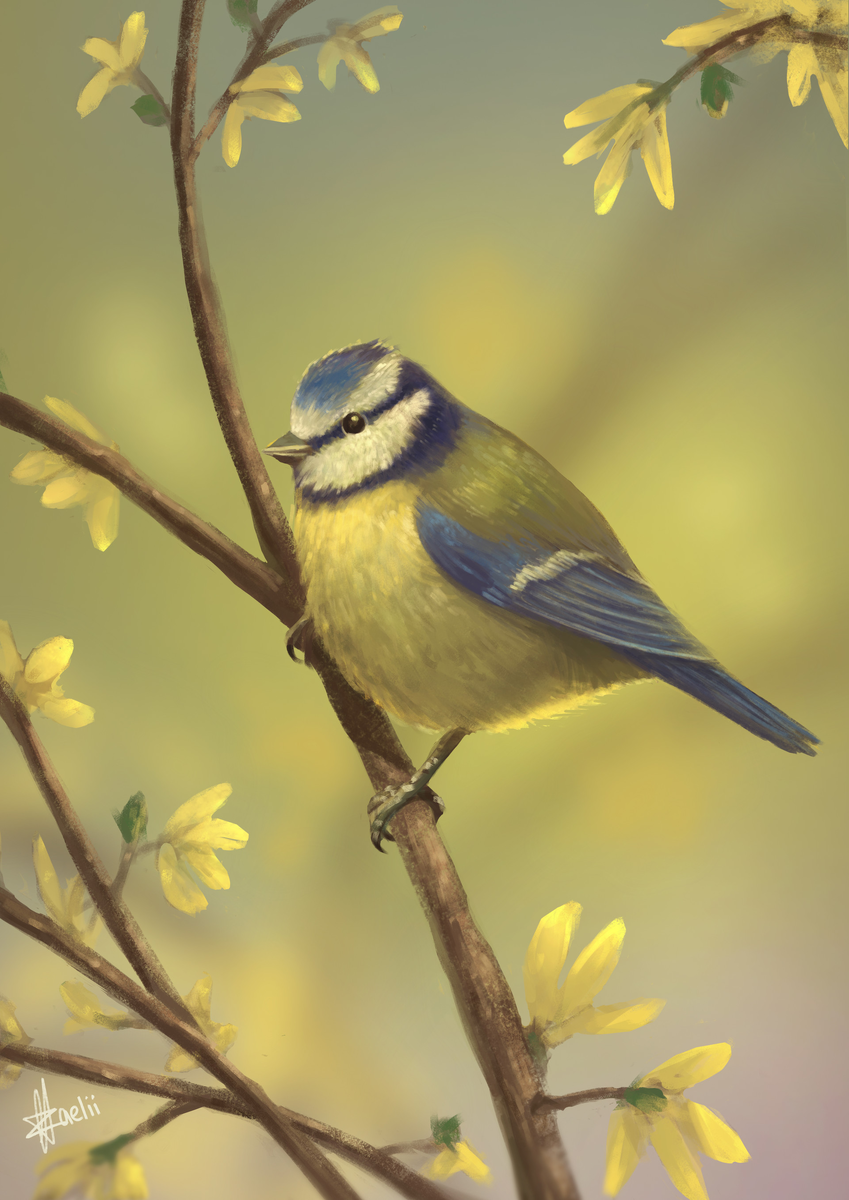 Автор - Zaelii Art